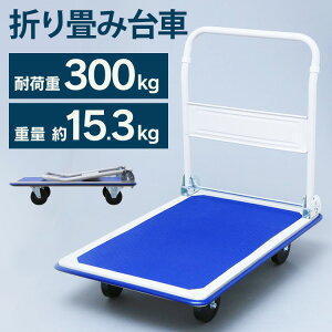  ޤꤿ  ѥ 㥹դ ӥ 300kg  ̳  Ѳٽ300kg 若  ֥若 ֱ ꡼若  若󥭥꡼ ե  ñۤ SLD-H001BLD