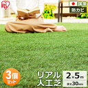 【3個セット】リアル人工芝 IP-3025 IP-3025送料無料 人工芝 人工芝マット 芝マット リアル人工芝 人工芝生 芝生 雑草対策 ロールタイプ 2×5...