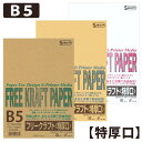 SAKAEテクニカルペーパー フリークラフトペーパー B5 50枚 特厚口 182mm×257mm 120g/m2 OA用紙 コピー用紙 クラフト紙 コピー イ...