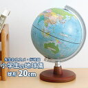 レイメイ藤井 先生オススメ 小学生の地球儀 行政タイプ 球径20cm 地球儀スケール付き OYV11