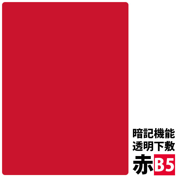 【お取り寄せ】西敬 すらピタ下敷き A4 SP-26 下敷き 教材 学童文具 教材 学童用品