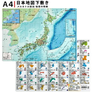 東京カートグラフィック 下敷き 日本地図 A4判 PSMJ 【単品ならネコポスも対応】