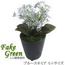 ササガワ 人工観葉植物 ブルースキミア ミニサイズ 32-8703 光触媒 消臭 防菌 抗菌 防汚 マイナスイオンシャワー ホルムアルデヒド低減 オフィス 美容室 クリニック ホテル 飲食店 モデルルーム ショールーム 自宅 卓上