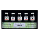【10%OFFクーポン】J.HERBIN エルバン ミニインクコフレ トラディショナル(10ml) スプリング 5種 ギフトセット メーカー品番hb18501