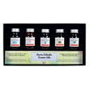 【10%OFFクーポン】J.HERBIN エルバン ミニインクコフレ トラディショナル(10ml) サマー 5種 ギフトセット メーカー品番hb18502