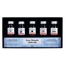 【10%OFFクーポン】J.HERBIN エルバン ミニインクコフレ トラディショナル(10ml) ウィンター 5種 ギフトセット メーカー品番hb18504