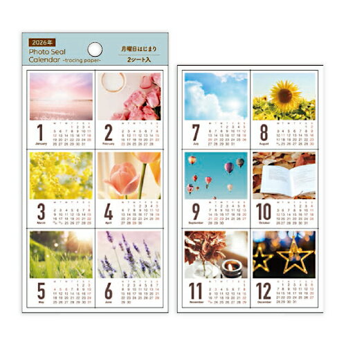 ʸΤ餷㤨֡10%OFFݥۥѥ֥å 2026ǯǥȥڡեȥ롦 Ϥޤ ե PINE BOOK ᡼X-472פβǤʤ308ߤˤʤޤ