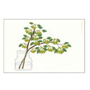 【10%OFFクーポン】グリーティングライフ 米津祐介 ポストカード ヒメリンゴ メーカー品番YZ-363