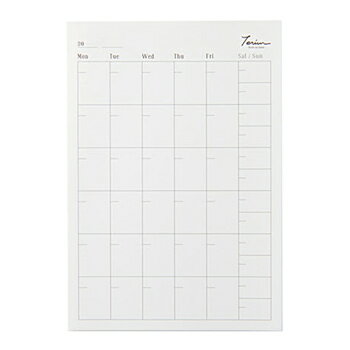 【10%OFFクーポン】調度 Teriw THE MAT テリュー・ザ・マット マンスリーリフィル B6 メーカー品番TRB6001