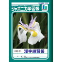 昔から愛される学習帳 ショウワノート ジャポニカB5