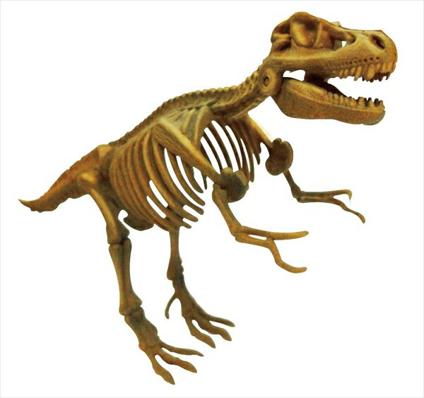 骨のパズルを組み立てると 本格的な化石の恐竜が出来上がります ビバリー 3D恐竜パズル ミニ ティラノサウルス