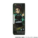 サンスター文具 鬼滅の刃 竈門炭治郎 コンパクトふでいれ ヨコピタ ホログラム 2022年 新入学 お祝い ランドセルの上部のすき間に横向きにピタッと収まる プ...