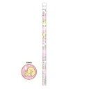 サンエックス すみっコぐらし キャラミックス 赤鉛筆 丸軸 限定 かわいい プレゼント 名入れ不可(3)
