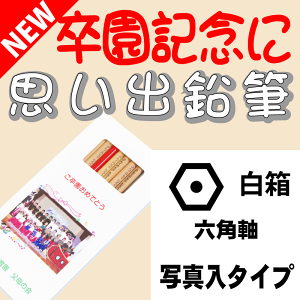 【卒園記念・卒業記念に最適】 こんな鉛筆が欲しかった 思い出鉛筆 六角軸・写真入りタイプ