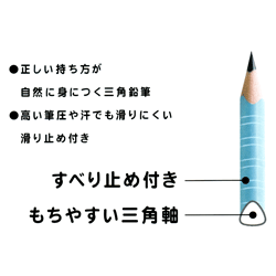 サクラクレパス 小学生文具 かきかた三角軸鉛筆 ピンク ダース 卒園記念品 卒業記念品 名入れ無料 正しい持ち方が身につく滑り止め付 ギフト プレゼント