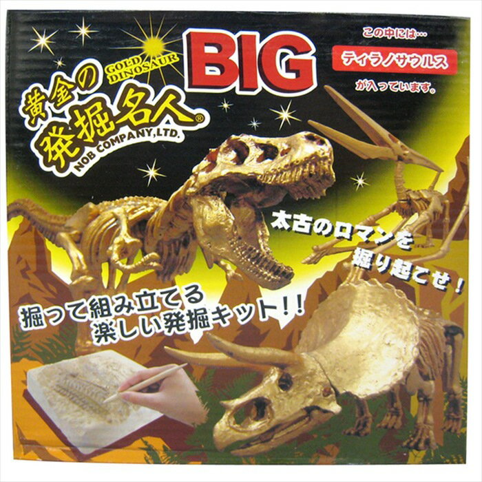 恐竜の組み立てるおもちゃ さらにBIGになった！ 化石を発掘する楽しさ 掘って、恐竜を組み立てよう! 黄金の発掘名人BIG ティラノサウルス