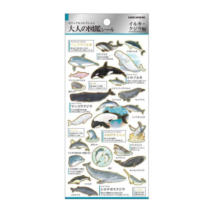 カミオジャパン 大人の図鑑シール イルカ・クジラ ビジュアルが大人気の大人の図鑑シリーズ コレクション
