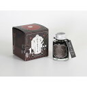 寺西化学 ギター 大正浪漫ハイカラインキ アンティークブラック 40ml 復刻デザイン 限定モデル プレゼント 万年筆インキ 日本製(3)