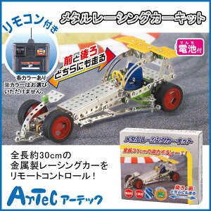 《100円OFFクーポン対象》 メタルレーシングカーキット 車 電気 技術 ラジコン 組立 夏休み 自由研究 自由工作 工作 図工 学校 小学校 小学生 授業 教材 秋 《アーテック》 【05P03Dec16】【メール便不可】