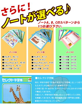 《期間限定割引!〜11/7まで》 入学祝い 文具セット 小学校 女の子 2018年 入学用品文具12点セット シンプル ピンク //【メール便不可】