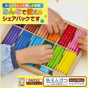 【お取寄】パスティック色えんぴつ <ショートタイプ> シェアパック 12色×12本 学級文具 クラフトツール 日本製【メール便不可】