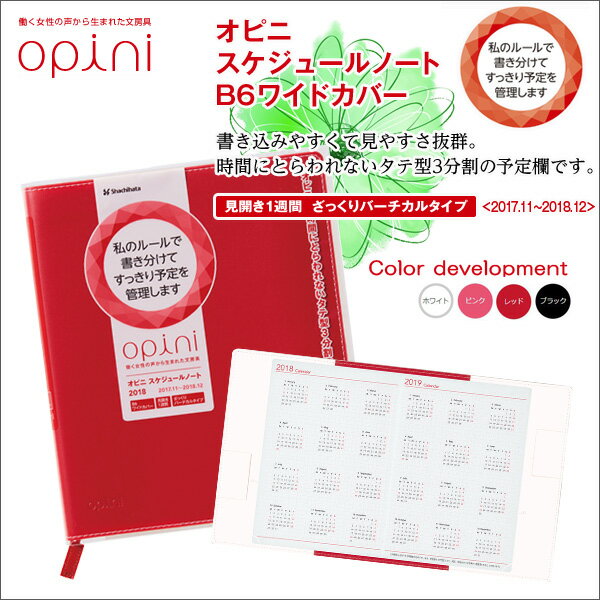 オピニ スケジュールノート《レッド》B6ワイドカバー 手帳 シンプル かわいい ポケットサイズ 女の子 ポケットシステム手帳 B6 月間リフィル シンプル【メール便可】のサムネイル