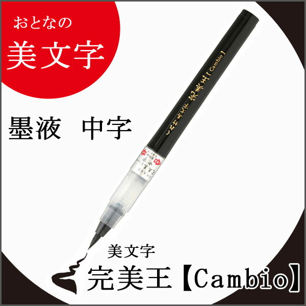 くれ竹美文字 《中字》 完美王【Cambio】黒インク 筆ペン カラフル 筆 慶弔用 美文字 学級文具 指導支援 【メール便可】 [M便 1/10]