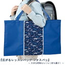 《OSK特別価格!》 レッスンバッグ 男の子 女の子 ショルダー 大きめ 小さめ 広がるレッスンバッグ ファスパッ 長さ調整 落ちにくい シンプル かわいい 体...