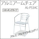 【お取寄】アルミアームチェア AL-53AC アルミ 背もたれ 肘置きあり 屋外 店舗 【送料無料】【受注生産】《テラモト》【メール便不可】