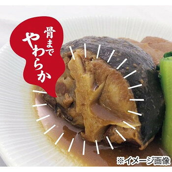 YSフーズ　レンジで簡単　さばの醤油煮　100g×30セット bungushop-10210168 ブングショップ サンプル画像3