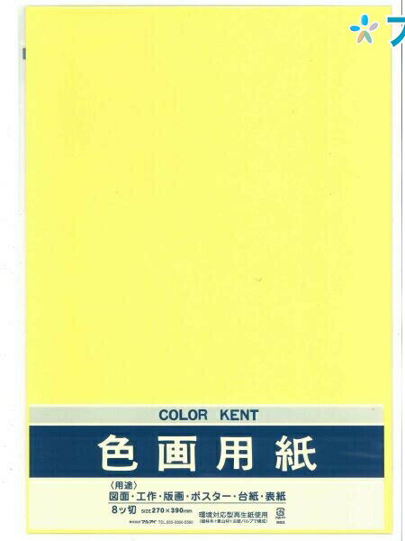 マルアイ 色画用紙 八ッ切 (270mm×390mm) 10枚入り Pエ-N82C クリーム いろがようし 工作 工作紙 図面 ..