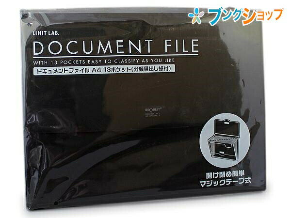 リヒトラブ キャリングバッグ ドキュメントファイル13ポケット G5800-24黒 収納 不透明の4色カラー 不..