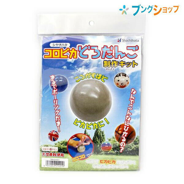 【スーパーSALE価格】シャチハタ ネーム9 ころがすほどピカピカに コロピカどろだんご制作キット TMN-S..