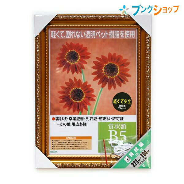 ナカバヤシ 賞状額 賞状額 金消 B5 樹脂製フレーム シュリンクパック