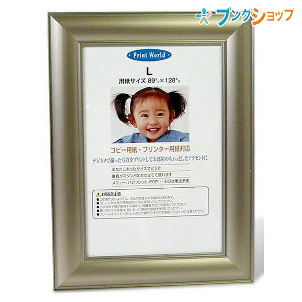 ナカバヤシ 写真額 プリパネライトフレーム グレー PA-212-L