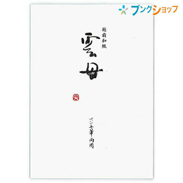 【スーパーSALE価格】日本ノート 和紙便箋 雲母 きらら セミB5 無罫・下敷付き 25枚 SEN56 セン56 雲のような模様が入った雲竜紙の用紙 アピカ