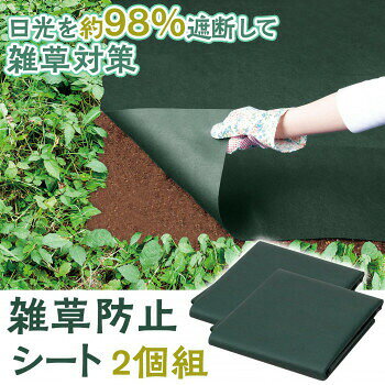 雑草防止シート　1×5m　2個組 4549081905256 2