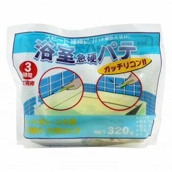 Various Materials - 家庭化学工業 浴室用急硬パテ 320g ホワイト 4905488350011