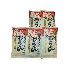 池上製麺所　るみばあちゃんのうどん　3食つゆ付き　5袋セット 4549081449309