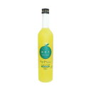 ゆず5 5倍希釈飲料 500ml ×12本セット(4)