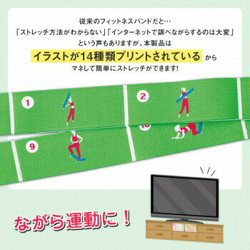 イラストをまねるだけで簡単ストレッチ 円高還元 イラスト付きのフィットネスバンド 2本組 強 グレー 弱 グリーン