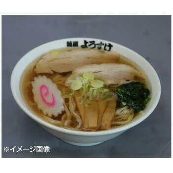 ブングショップ 銘店ラーメンシリーズ 佐野ラーメン 麺屋ようすけ(小) 2人前 10セット SP-125 画像2