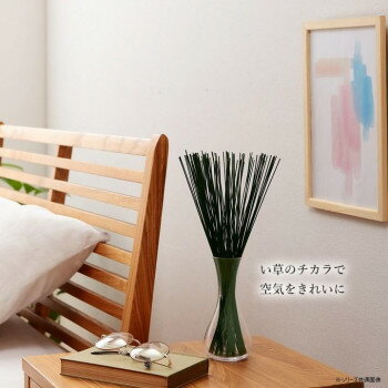 フレグラス い草 置物 オブジェ 70cm 50g パープル 1370040230504