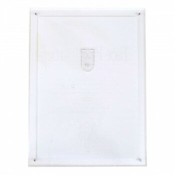 A.P.J. フェイスファイブフレーム(N)キャビネ クリア 0030736664