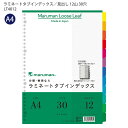 マルマン ラミネートタブインデックス A4 30穴 12山(12枚) LT4012 丈夫で長持ち! 油性ペンで記入ができる! 検索に便利なタイトルページ付き