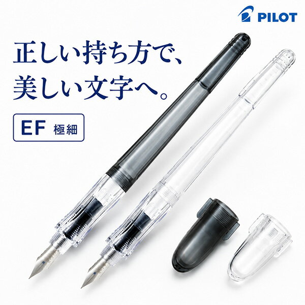 楽天市場】パイロット ペン習字の通販