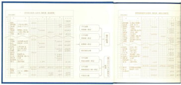 現金出納帳 青-1 アピカ 帳簿