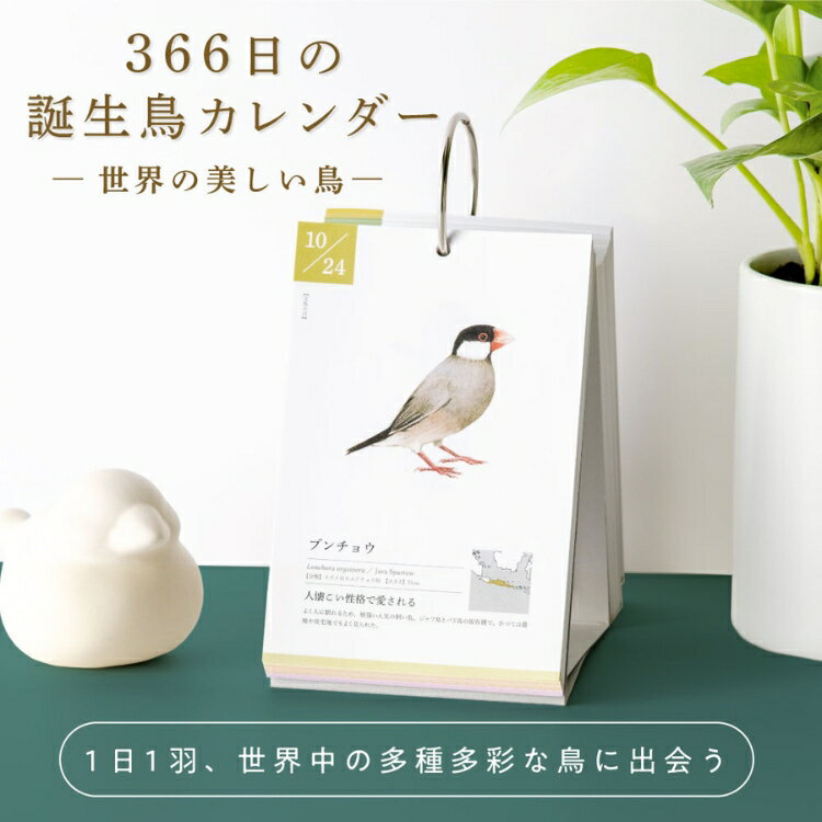 いろは出版 366日の誕生鳥カレンダー 世界の美しい鳥 卓上カレンダー 日めくり インテリア ギフト