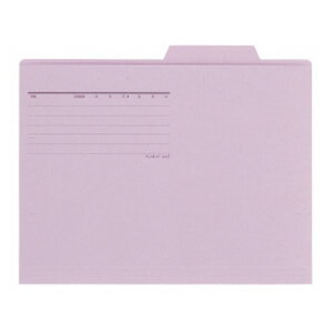 プラス 個別フォルダー エコノミータイプ A4ーE 10枚入 バイオレット FL-081IF 87-413