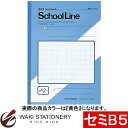 アピカ スクールライン 特殊罫ノート 学習帳 12ミリ方眼 セミB5 黄色 LS12Y / 10セット